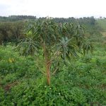  10000m2 - 3