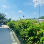  60m2 - 3