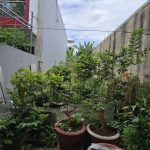  100m2 - 1