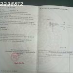  298m2 - 3