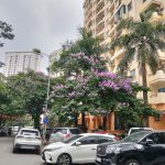  60m2 - 4