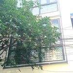  56m2 - 1