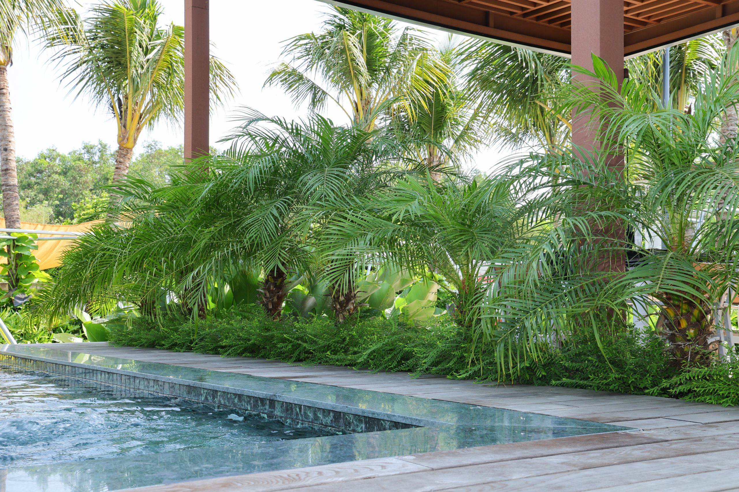 Sổ Hồng Sẵn - 12x40m (500m²) Biệt Thự Sát Biển Phước Hải - Chỉ 6Tr/m² Công Chứng Ngay