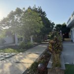  1290m2 - 3