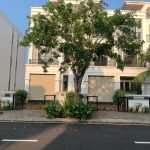  100m2 - 3