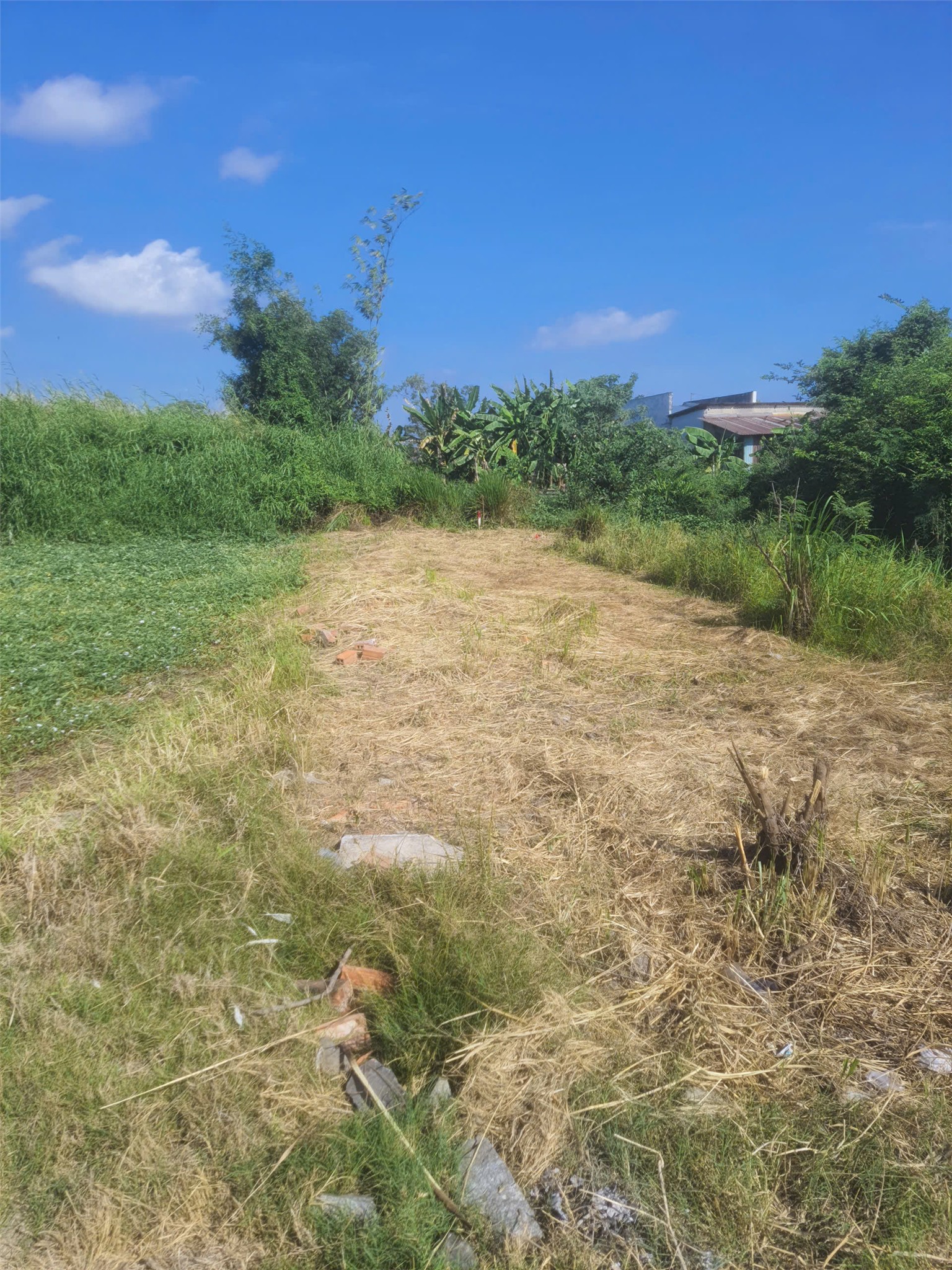HÓT HÓT ĐẤT ĐẸP – GIÁ TỐT CHÍNH CHỦ CẦN BÁN ĐẤT Tại Xã Hưng Long, Huyện Bình Chánh, Tp Hồ Chí Minh