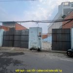  100m2 - 1