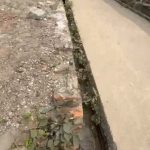  50m2 - 6