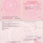  10008m2 - 4