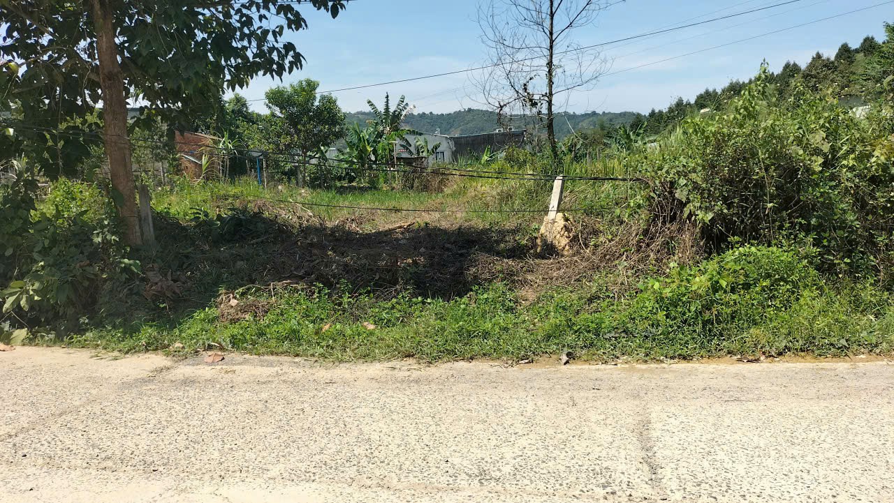ĐẤT THỔ CƯ GIÁ ĐẦU TƯ – GẦN HỒ MADAGUI – CHÍNH CHỦ CẦN BÁN LÔ ĐẤT Tại Đạ Huoai, Lâm Đồng