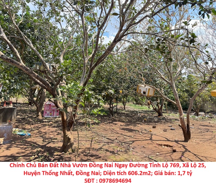 Chính Chủ Bán Đất Nhà Vườn Đồng Nai Ngay Đường Tỉnh Lộ 769, Xã Lộ 25, Huyện Thống Nhất, Đồng Nai