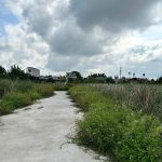  50m2 - 4