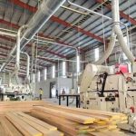  4000m2 - 1