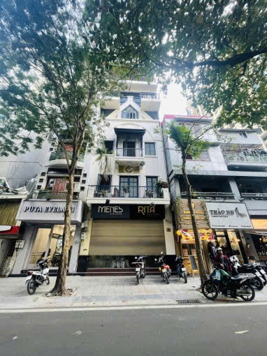 Mặt phố Phố Mai Hắc Đế Mặt Tiền 10M 5 Tầng 99 Tỷ Góc Ngã Tư SDCC 1 Sổ 1 Chủ