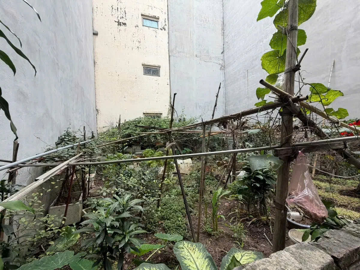 Bán đất phố Sơn Tây 38m2 mặt tiền 5m gần phố giá 10.2 tỷ hiếm quận Ba Đình