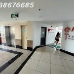  822m2 - 6