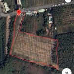  9000m2 - 1