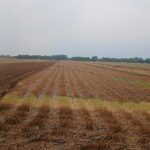  23580m2 - 5