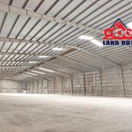  6000m2 - 4