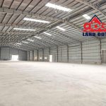 6000m2 - 5