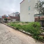  50m2 - 3