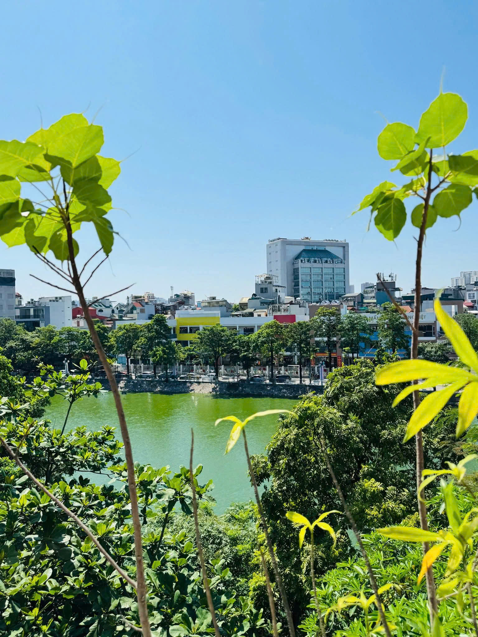 Hiếm mặt phố Phương Liệt 68m2, 5 tầng view Hồ Sen mặt tiền 4.5m hiếm Thanh Xuân