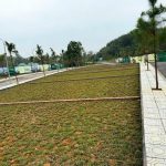  100m2 - 1