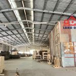  6000m2 - 1
