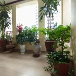  70m2 - 5