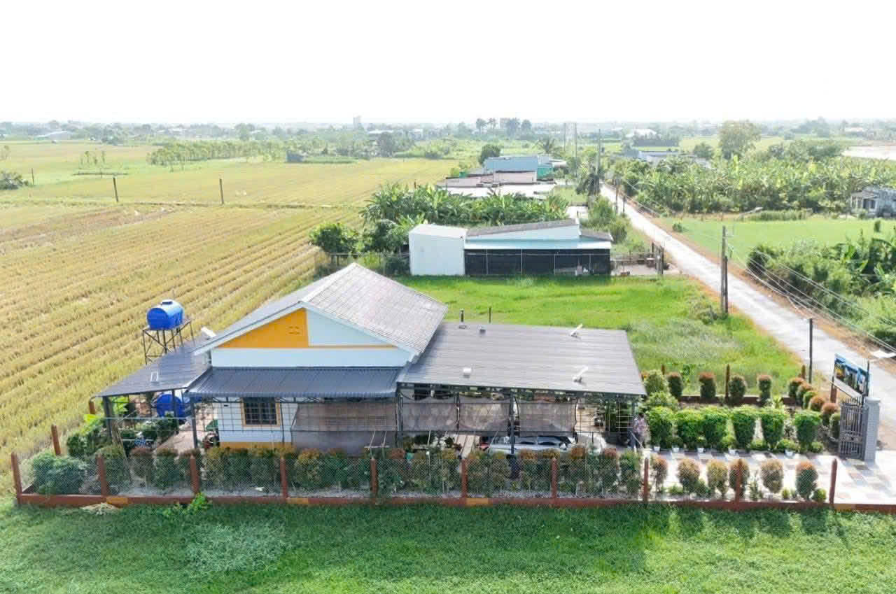 Chủ hạ sốc 1 tỷ 550 triệu - Cơ hội sở hữu nhà vườn mặt tiền huyện lộ 05B, Bình Nghị, Gò Công Đông