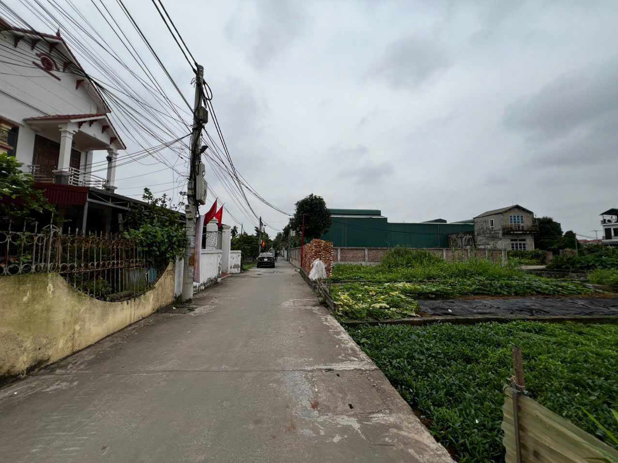 Bán đất đẹp Thư Phú, Thường Tín, Hà Nội - Gần ĐT427 - Vị trí thuận tiện kinh doanh và an cư