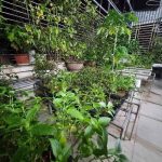  40m2 - 3