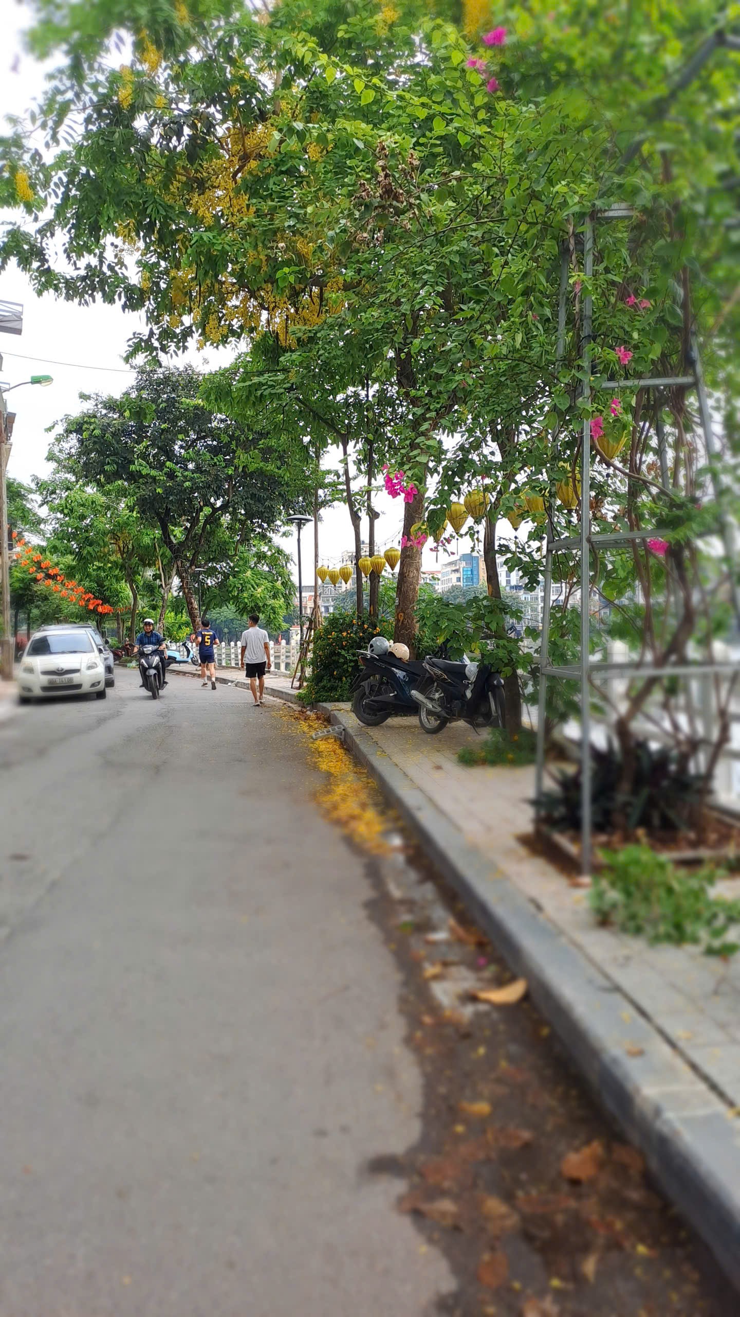 170m² đất hiếm bên hồ Trúc Bạch – Cơ hội dành cho người nhìn thấy giá trị trước đám đông.