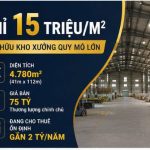  4780m2 - 6