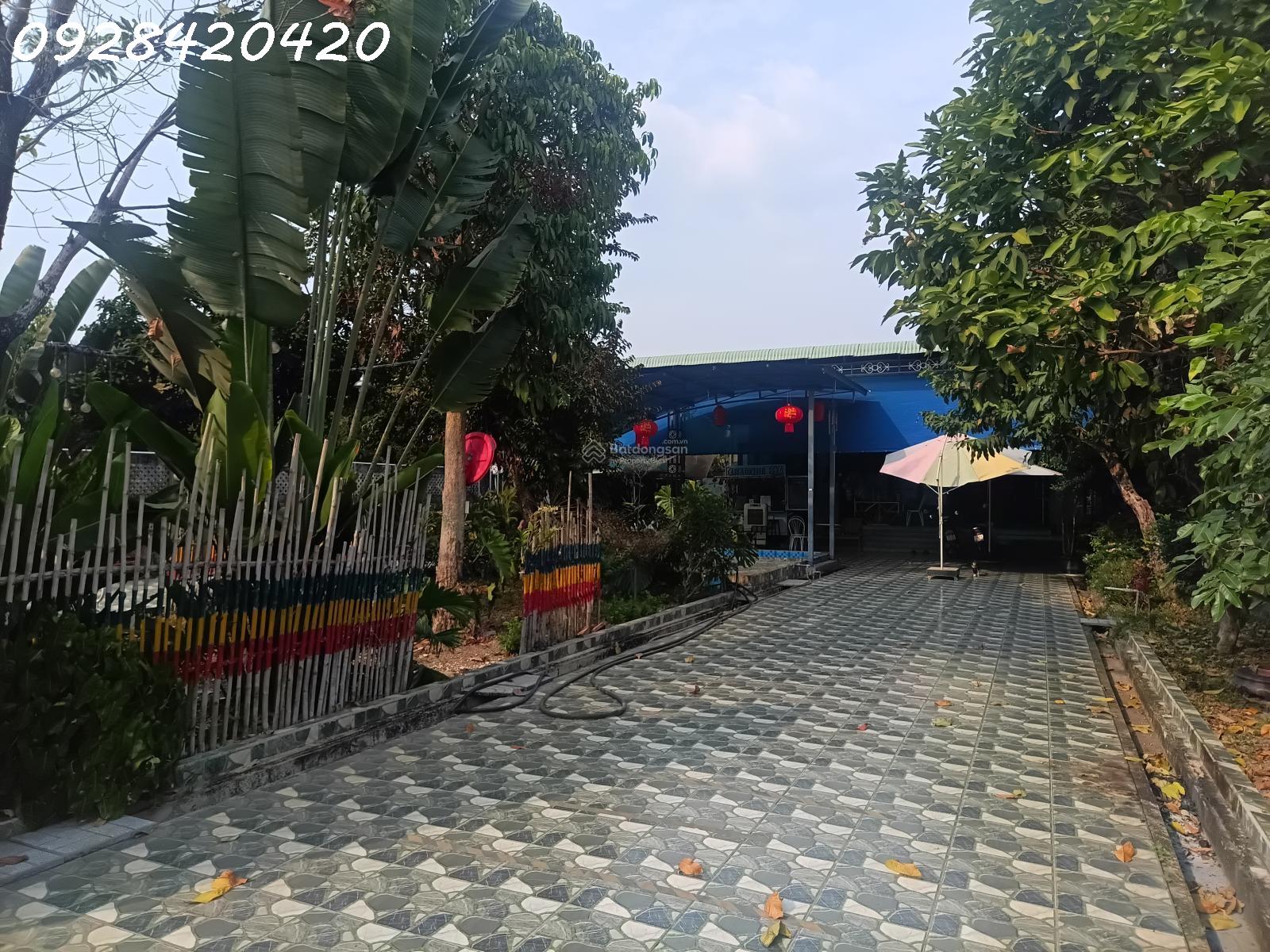 Bán GẤP nhà vườn 6145m full hồng riêng 300m thổ cư hồ bơi, nhà mới chỉ 5 tỷ (giá ngộp)