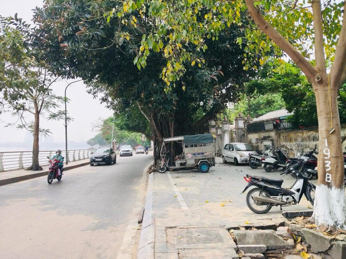 NHÀ VƯỜN,PHỐ TRÍCH SÀI, TÂY HỒ-KD-Ô TÔ: 272M X4T, MT 15M, GIÁ 63,5 TỶ.