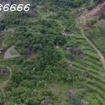  40000m2 - 3