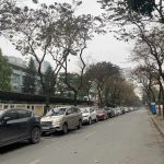  130m2 - 1