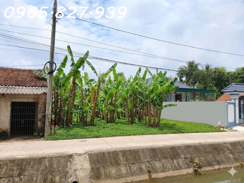 Chính chủ cần bán lô đất phường Đông Tiến, TP thanh hoá, DT 667m2, giá đầu tư