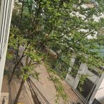  90m2 - 6