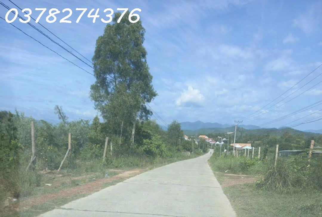 Chính chủ cần bán đất nông nghiệp tại xã Tân Định, Khánh Hòa, DT 15.000m2