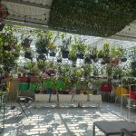  140m2 - 5