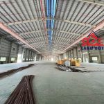  10000m2 - 5