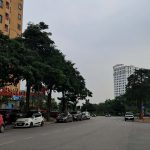  250m2 - 1