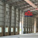  10000m2 - 6