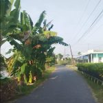  155m2 - 4