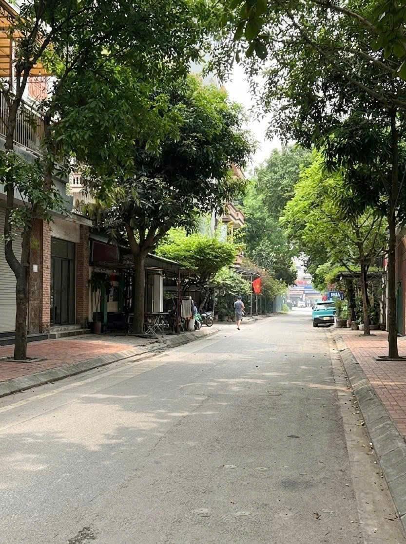 LĨNH NAM - VĨNH HƯNG, 102m2, PHÂN LÔ, Ô TÔ TRÁNH, VỈA HÈ, CÂY XANH - NHỈNH 21 TỶ