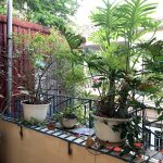  70m2 - 5
