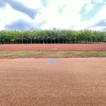  250m2 - 5
