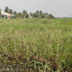  1256m2 - 6